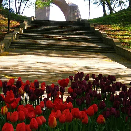 Apartament Sympatia Etna Polonia 718