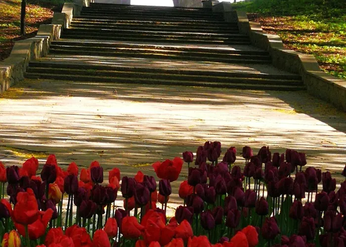 Daire Sympatia Etna Polonia 718